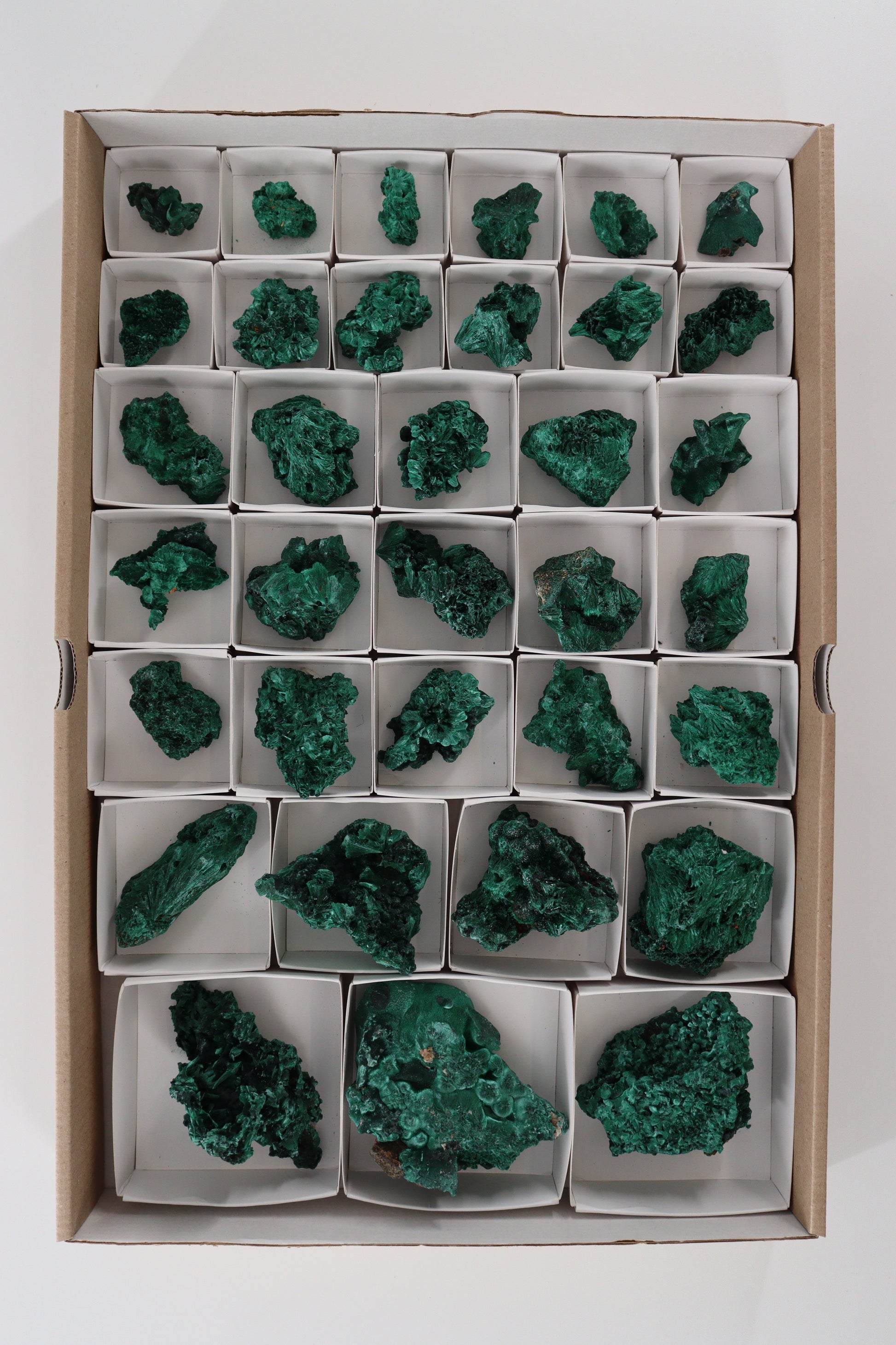 Malachite Flat - Expert Supplier of Wholesale Crystals & Bulk Gemstones