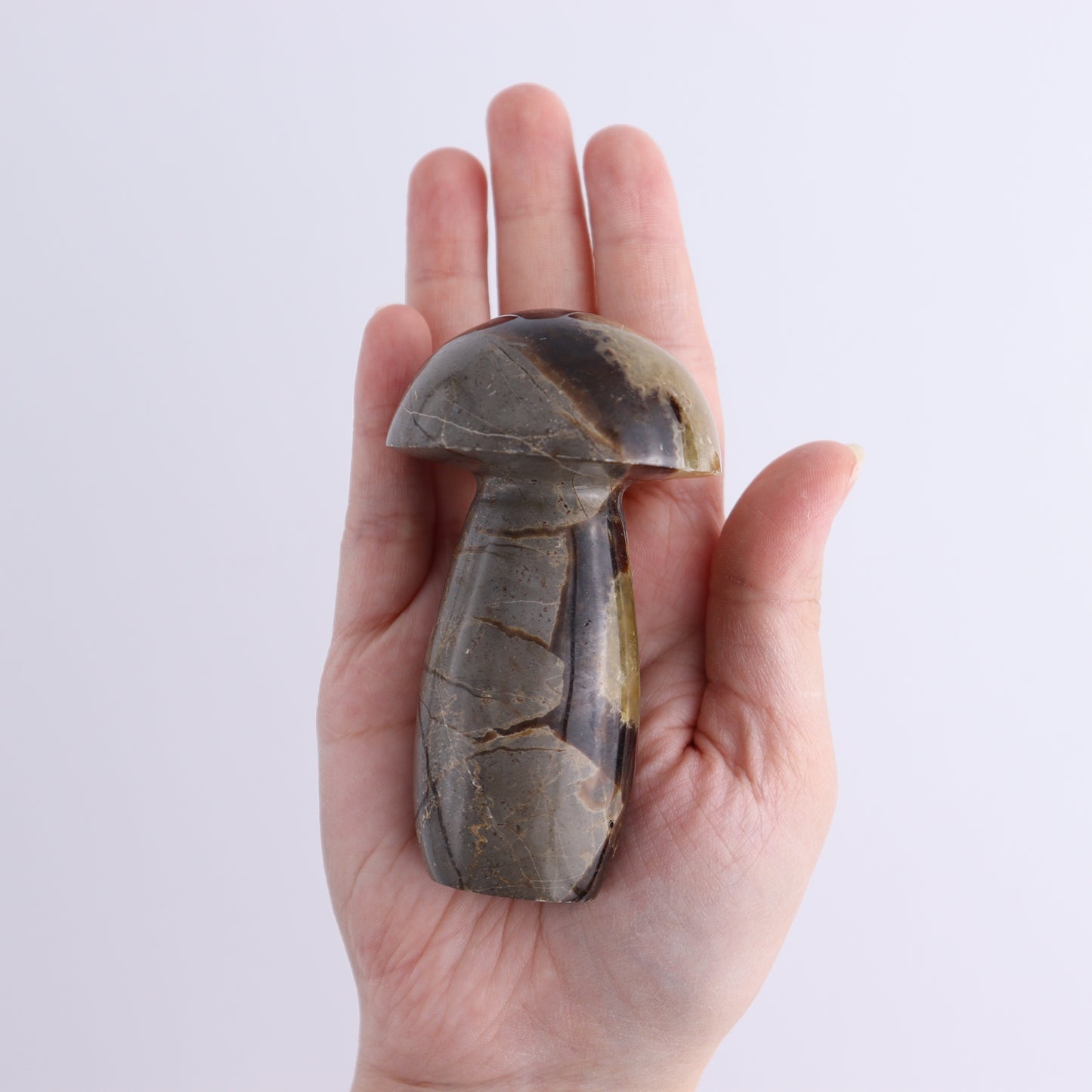Septarian Mushrooms Set of 6 - Expert Wholesale and Supplier of Wholesale Crystals & Bulk Gemstones, ["Mushrooms","Septarian"]