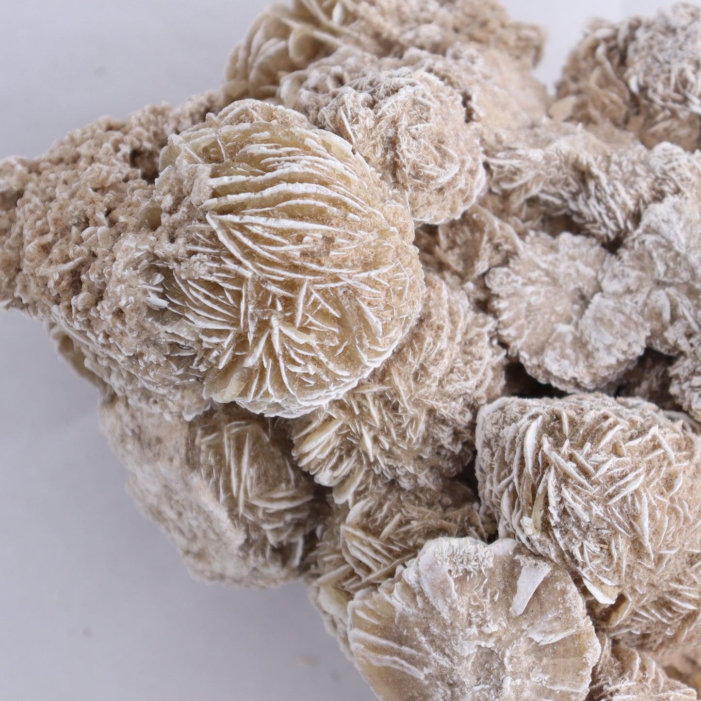 Desert Rose Cluster - Expert Wholesale and Supplier of Wholesale Crystals & Bulk Gemstones, ["Desert Rose","Freeforms"]