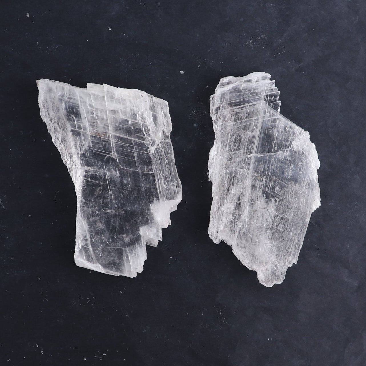 Selenite from Chihuahua Set of 6
