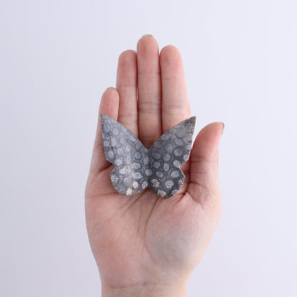 One Fossil Coral Butterfly - Expert Wholesale and Supplier of Wholesale Crystals & Bulk Gemstones, ["Butterflies","Butterfly","fossil coral"]