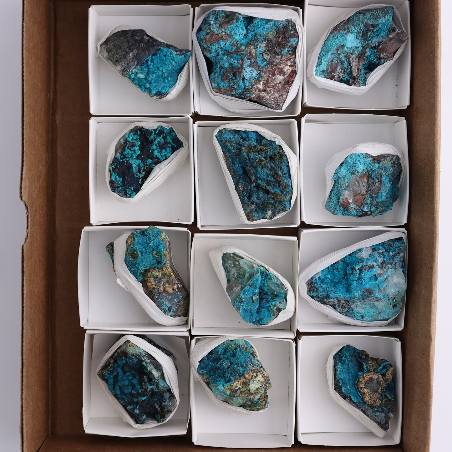 Chrysocolla with Quartz Roughs Set of 12 - Expert Wholesale and Supplier of Wholesale Crystals & Bulk Gemstones, ["Chrysocolla","Flats","Freeforms","Peru","Rough"]