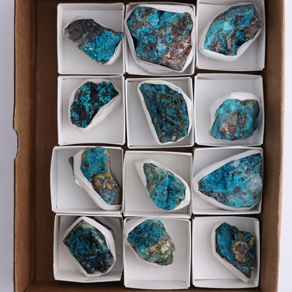 Chrysocolla with Quartz Roughs Set of 12 - Expert Wholesale and Supplier of Wholesale Crystals & Bulk Gemstones, ["Chrysocolla","Flats","Freeforms","Peru","Rough"]