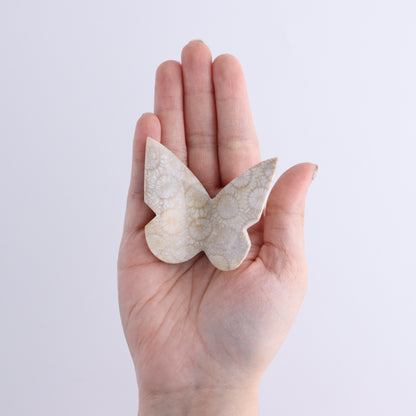 One Fossil Coral Butterfly - Expert Wholesale and Supplier of Wholesale Crystals & Bulk Gemstones, ["Butterflies","Butterfly","fossil coral"]