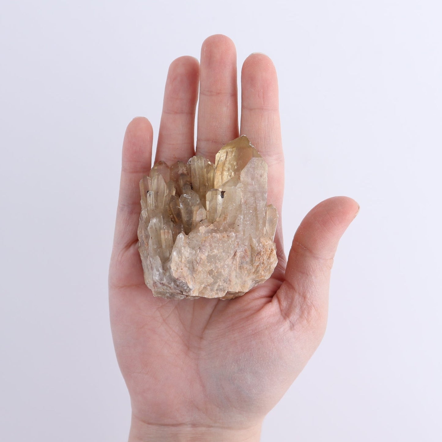Congo Citrine Set of 12