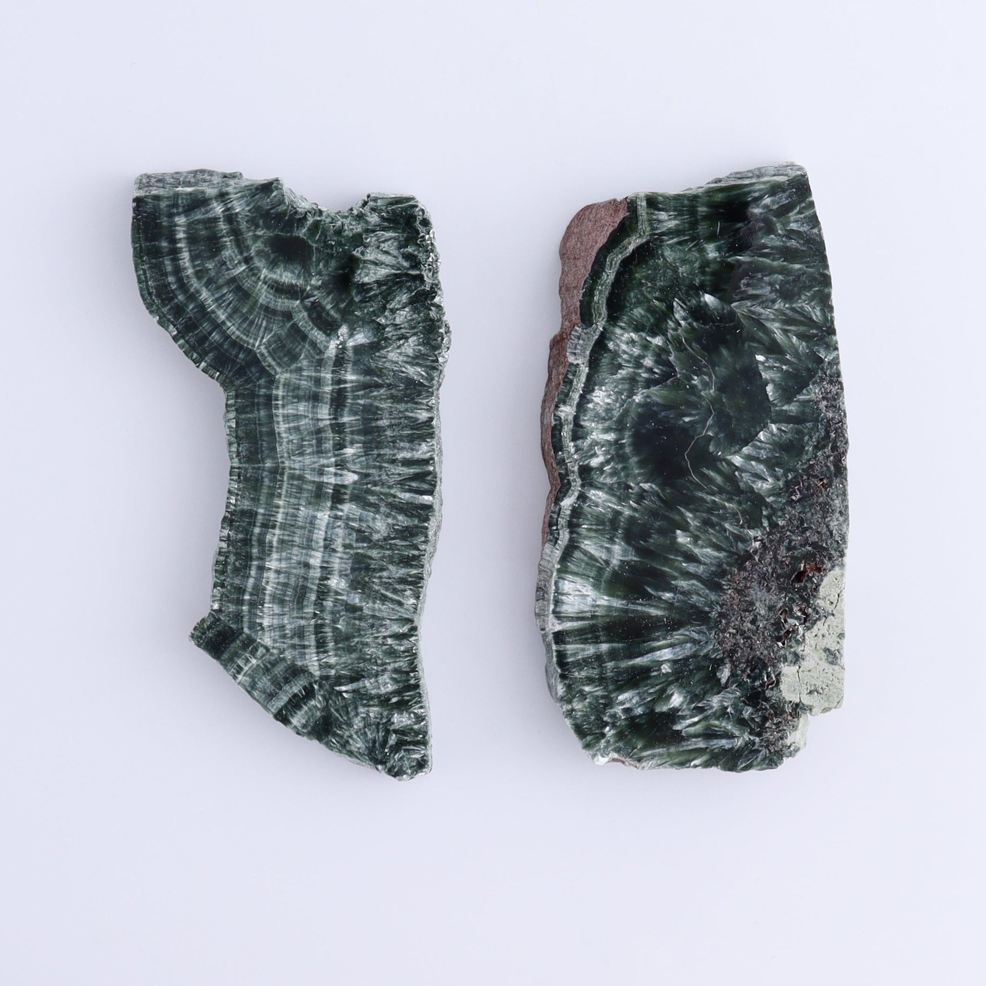 Seraphinite Slices Set of 6 - Expert Wholesale and Supplier of Wholesale Crystals & Bulk Gemstones, ["Russia","Seraphinite","Slices and Slabs"]