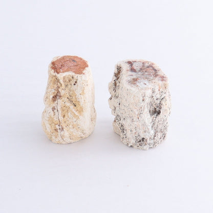 Petrified Wood Cut Bases Set of 10 - Expert Wholesale and Supplier of Wholesale Crystals & Bulk Gemstones, ["Cut Base","Petrified Wood"]
