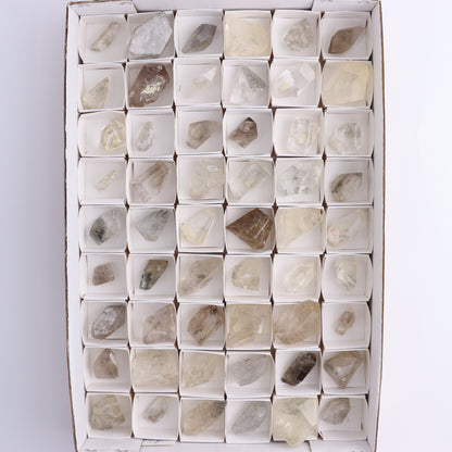 Quartz with Inclusions Feeforms Set of 54