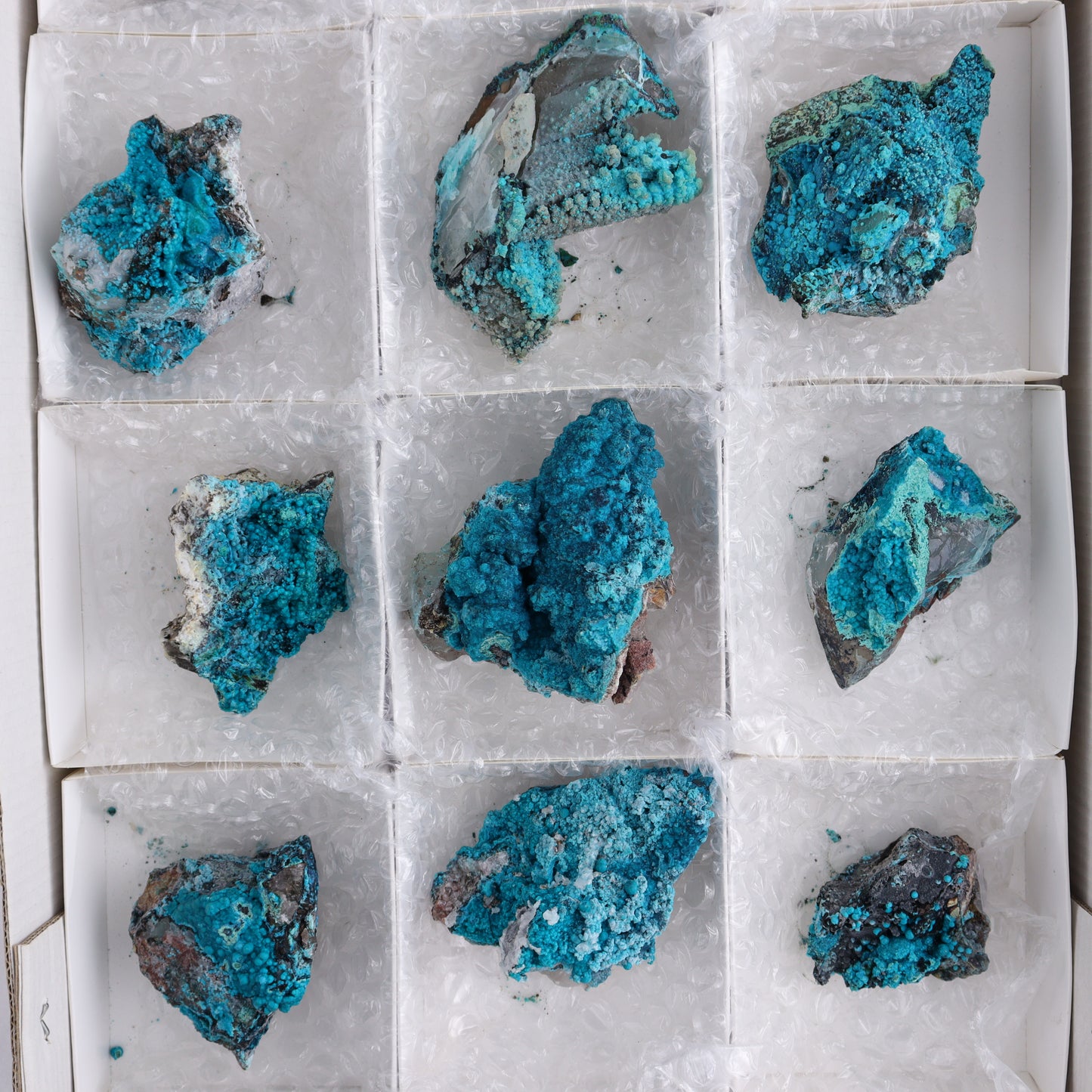 Chrysocolla on Quartz Roughs Set of 12 - Expert Wholesale and Supplier of Wholesale Crystals & Bulk Gemstones, ["Chrysocolla","Flats","Freeforms","Peru","Quartz","Rough"]