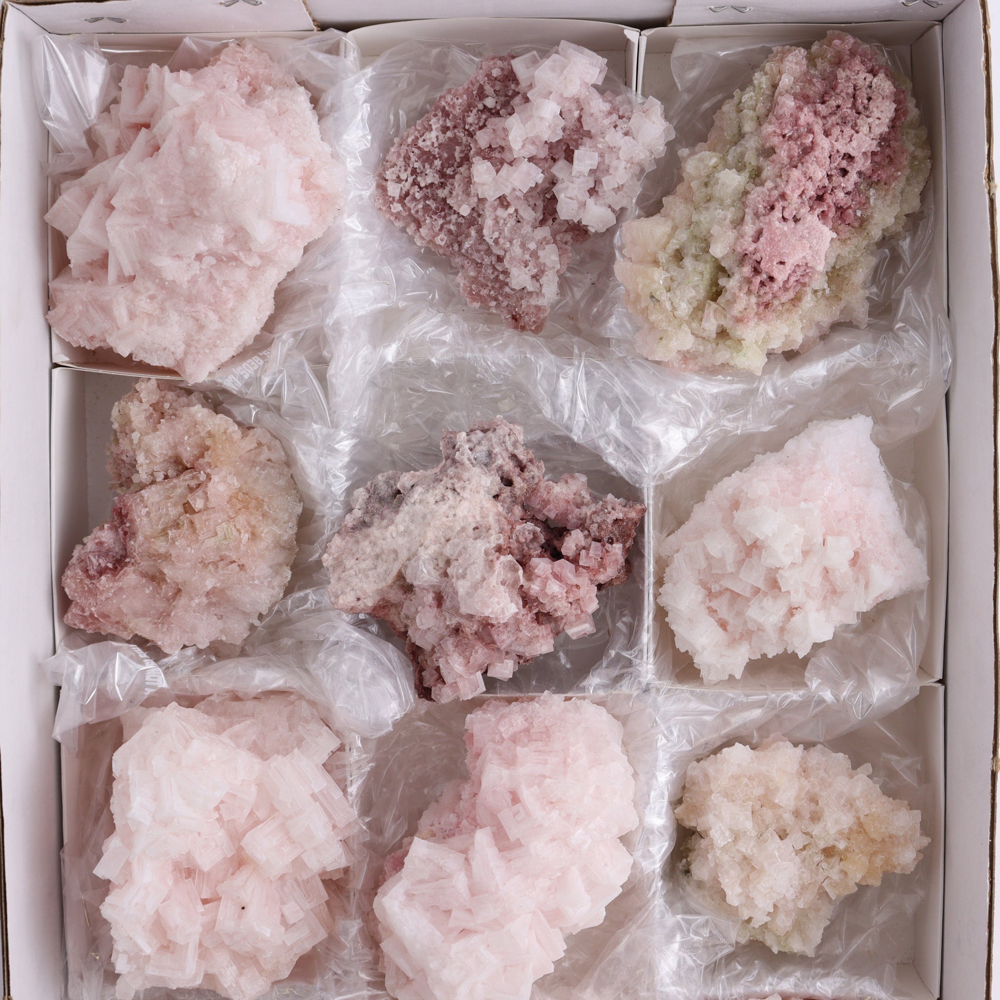 Pink Halite Set of 12 - Expert Wholesale and Supplier of Wholesale Crystals & Bulk Gemstones, ["Flats","Halite","Pink Halite","United States"]