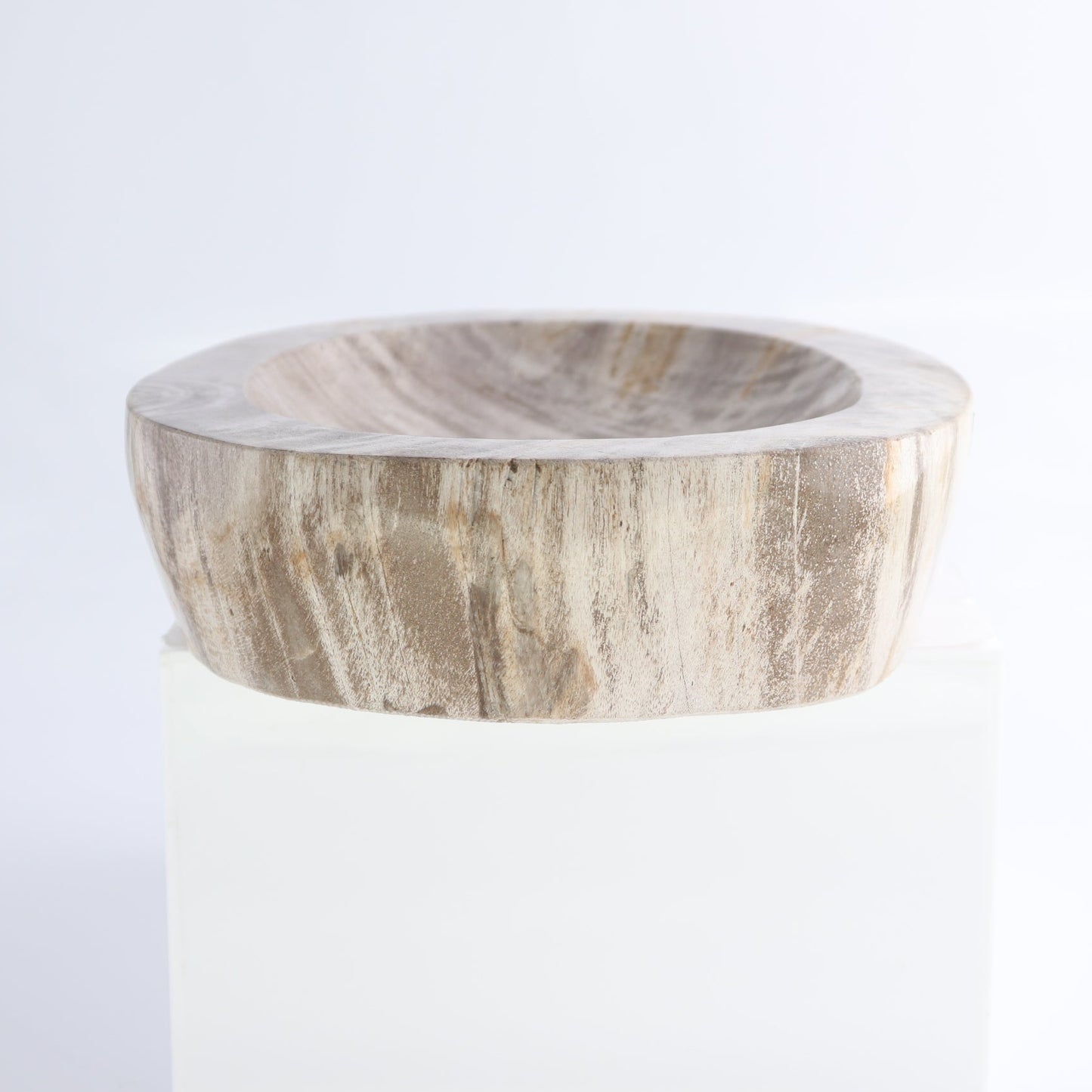 One Petrified Wood Beige Polished Bowl