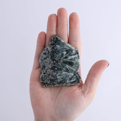 Seraphinite Slices Set of 12 - Expert Wholesale and Supplier of Wholesale Crystals & Bulk Gemstones, ["Seraphinite","Slices and Slabs"]