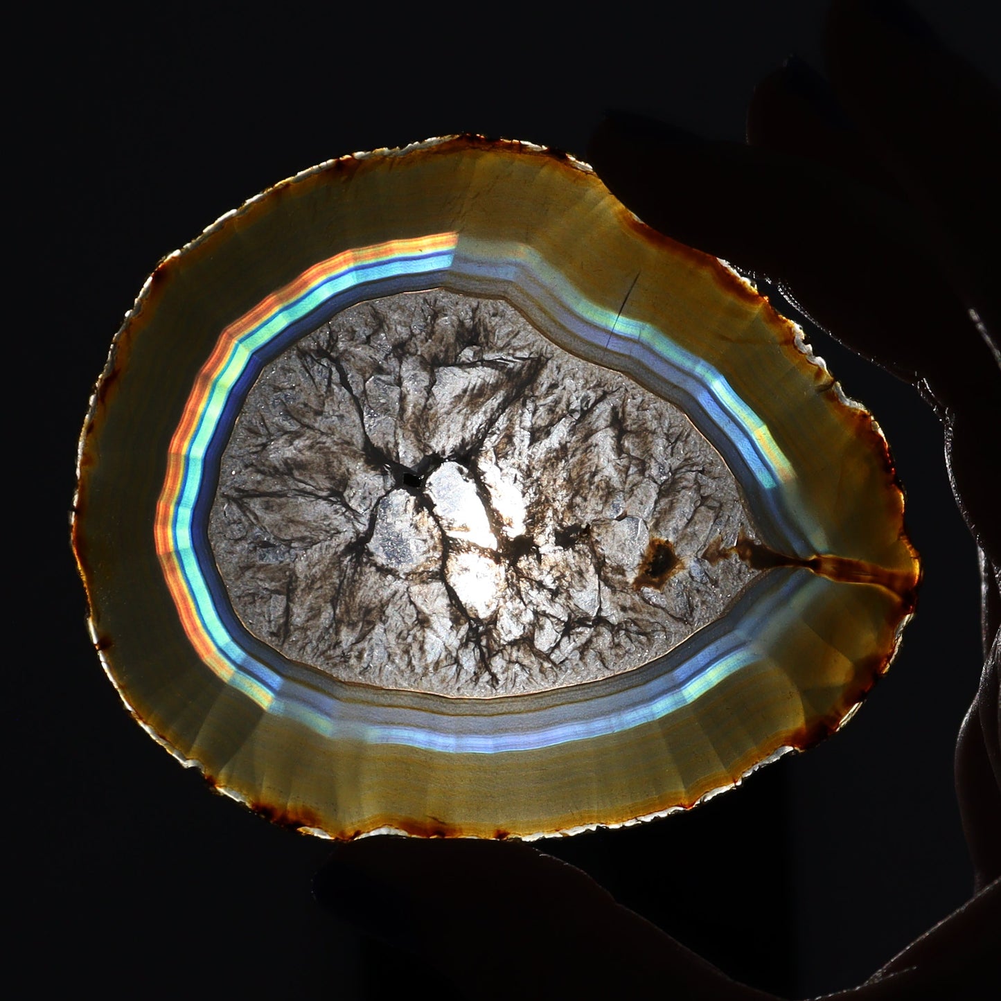 Iris Agate Slices Set of 5 - Expert Wholesale and Supplier of Wholesale Crystals & Bulk Gemstones, ["Agate","Iris Agate","Slices and Slabs"]