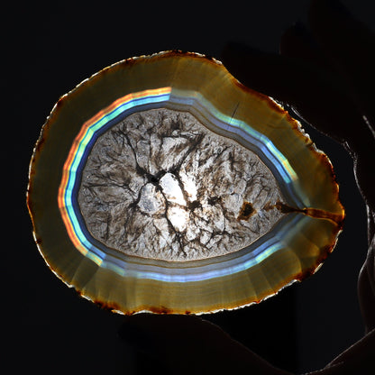 Iris Agate Slices Set of 5 - Expert Wholesale and Supplier of Wholesale Crystals & Bulk Gemstones, ["Agate","Iris Agate","Slices and Slabs"]