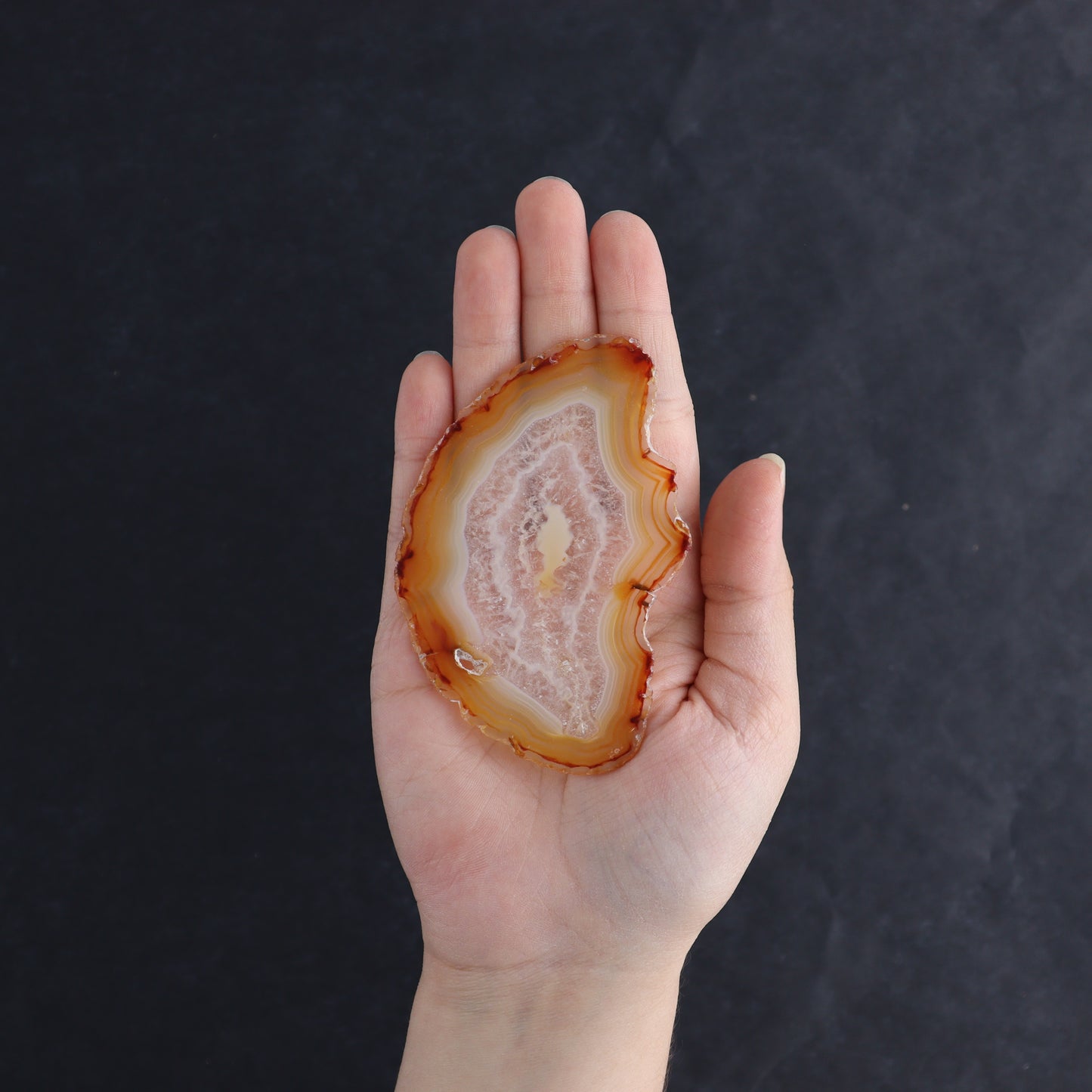 Iris Agate Slices Set of 6 - Expert Wholesale and Supplier of Wholesale Crystals & Bulk Gemstones, ["Agate","Iris Agate","Slices and Slabs"]