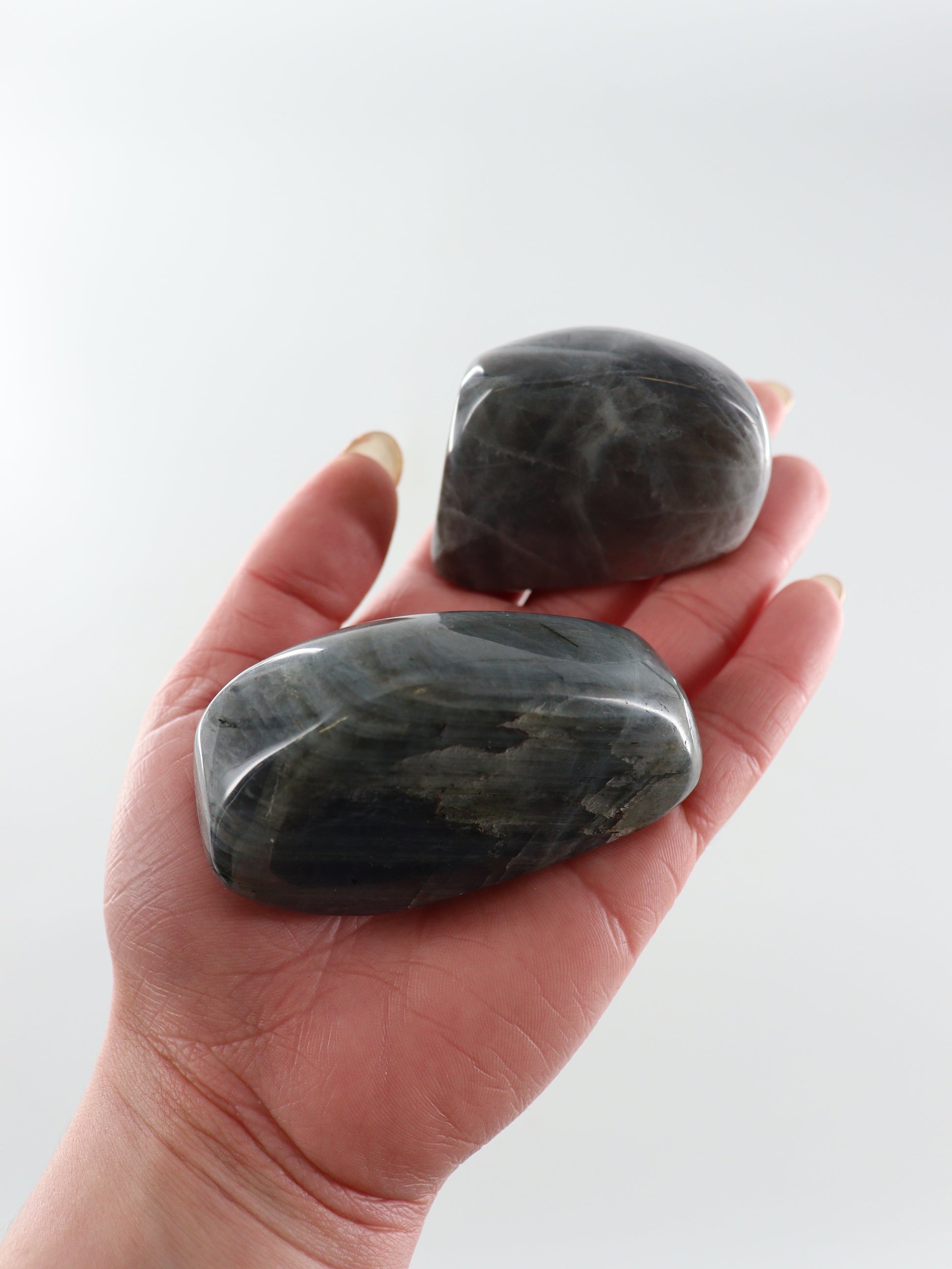 Labradorite Freeforms Set of 6 - Expert Wholesale and Supplier of Wholesale Crystals & Bulk Gemstones, []