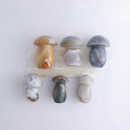 Agate Mushrooms Set of 6 - Expert Wholesale and Supplier of Wholesale Crystals & Bulk Gemstones, ["Agate","Madagascar","Mushrooms"]