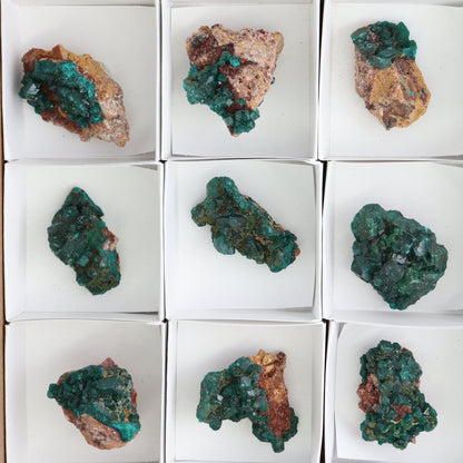 Dioptase Set of 12