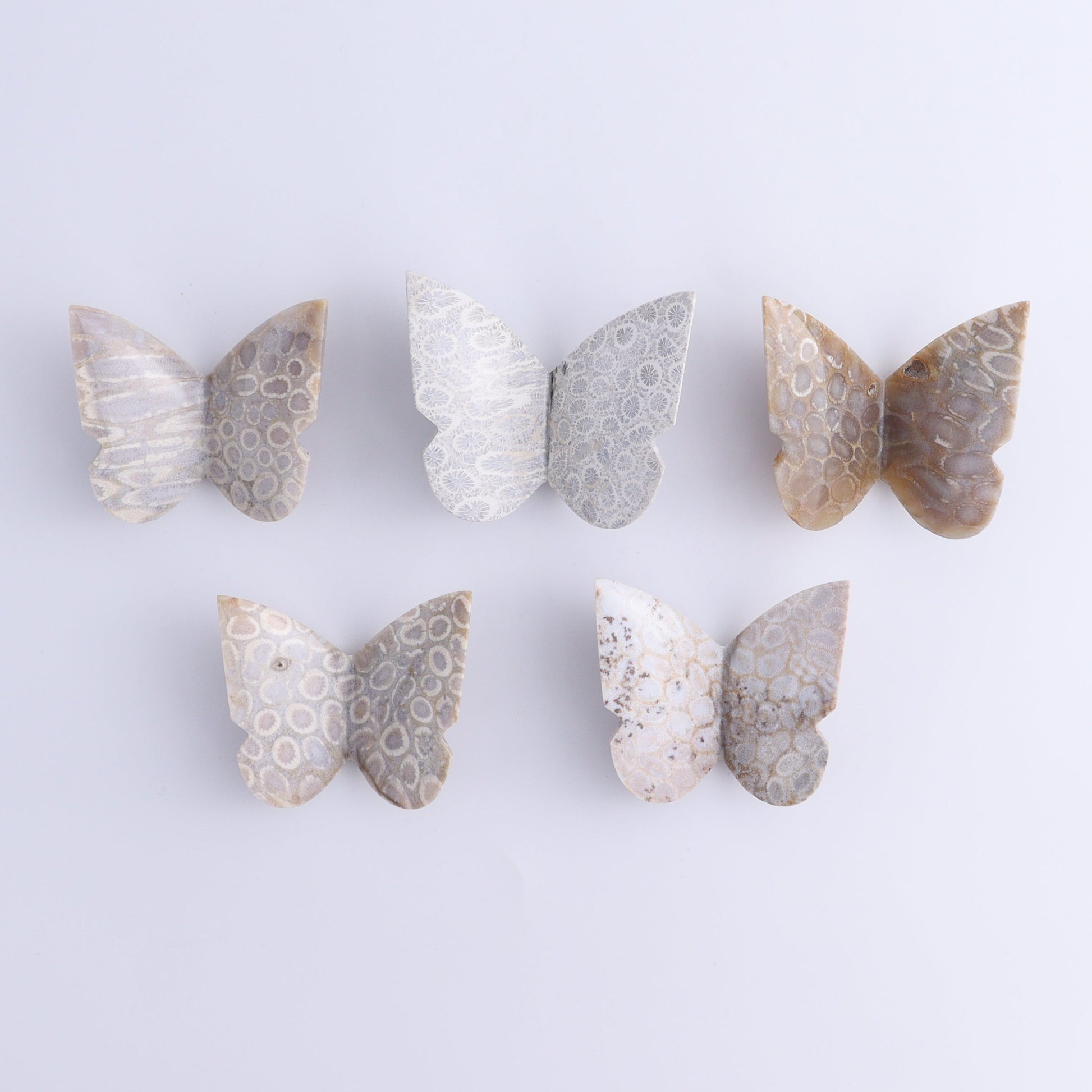 Butterflies Blue Palm Root & Fossil Coral Set of 10 - Expert Wholesale and Supplier of Wholesale Crystals & Bulk Gemstones, ["Butterflies","fossil coral","Palm Root"]