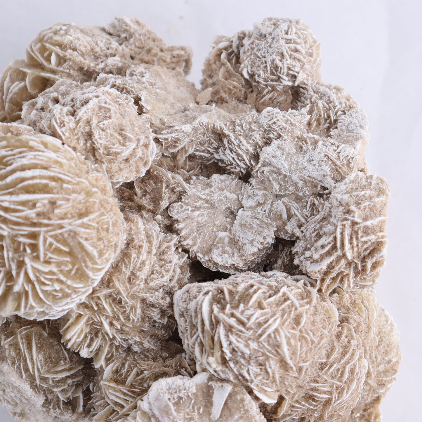 Desert Rose Cluster - Expert Wholesale and Supplier of Wholesale Crystals & Bulk Gemstones, ["Desert Rose","Freeforms"]