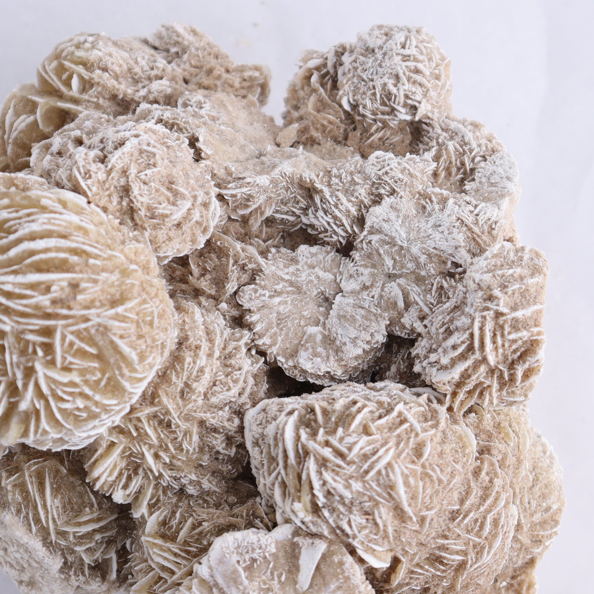 Desert Rose Cluster - Expert Wholesale and Supplier of Wholesale Crystals & Bulk Gemstones, ["Desert Rose","Freeforms"]