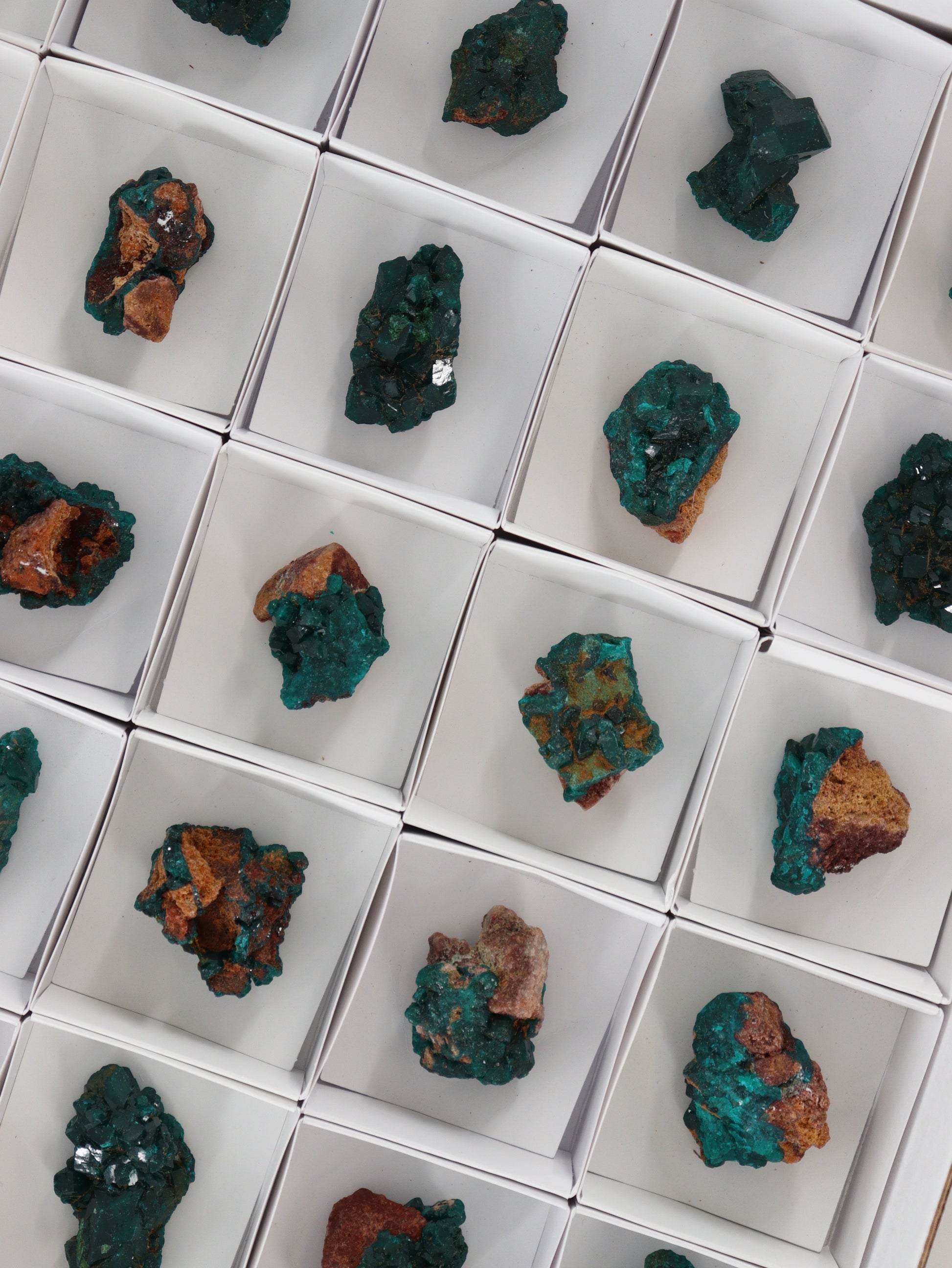Dioptase Flat - Expert Wholesale and Supplier of Wholesale Crystals & Bulk Gemstones, []