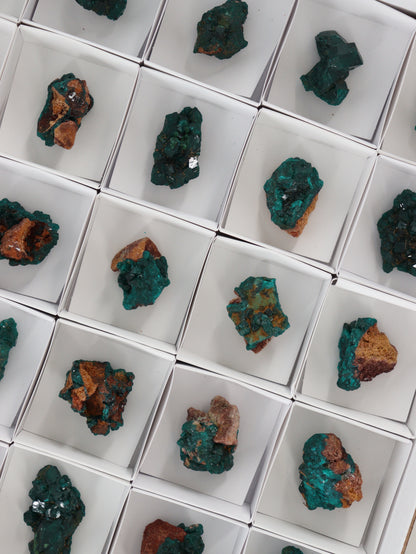 Dioptase Flat - Expert Wholesale and Supplier of Wholesale Crystals & Bulk Gemstones, []