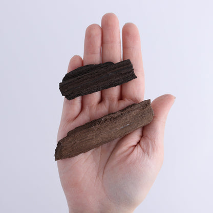 Permineralized Wood Flat of 24 - Expert Wholesale and Supplier of Wholesale Crystals & Bulk Gemstones, ["Flats","Germany","Permineralized Wood"]