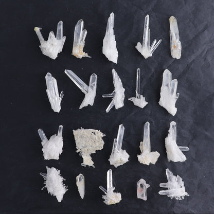 Lemurian Clusters from Columbia Set of 20