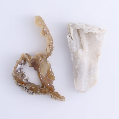 Agatized Coral Flat - Expert Wholesale and Supplier of Wholesale Crystals & Bulk Gemstones, ["Agate","Agatized Coral","Coral","United States"]