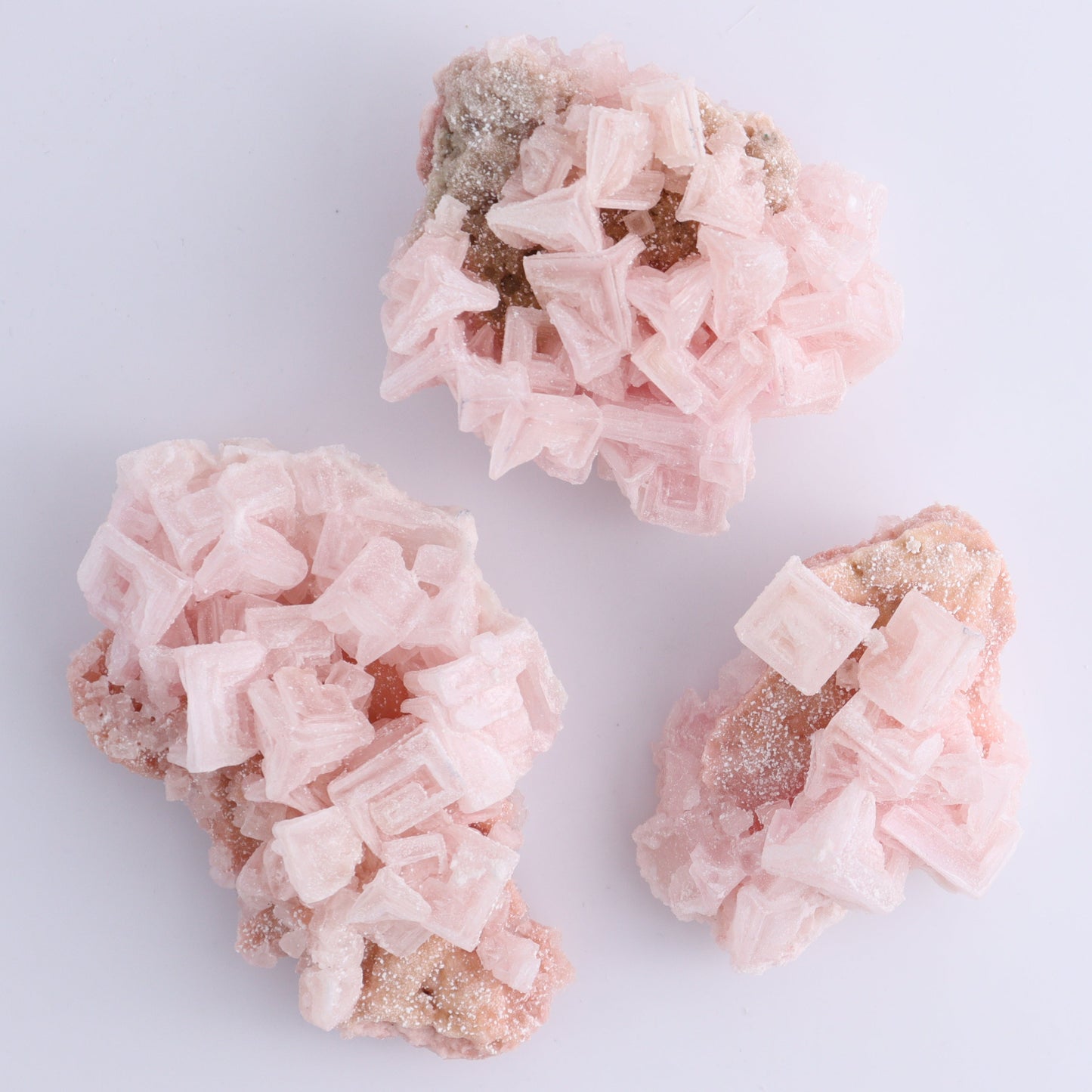Searles Lake Halite Flat of 6 - Expert Wholesale and Supplier of Wholesale Crystals & Bulk Gemstones, ["Flats","Halite","United States"]