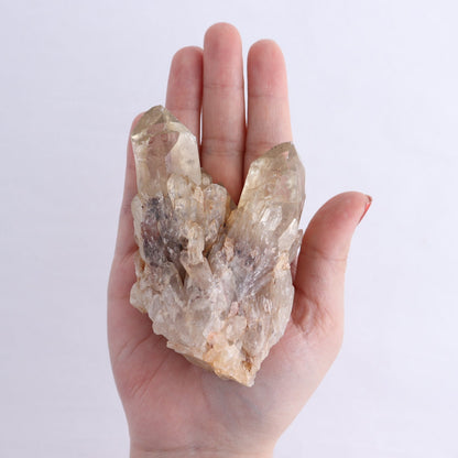 Congo Citrine Set of 6 - wholesale crystals