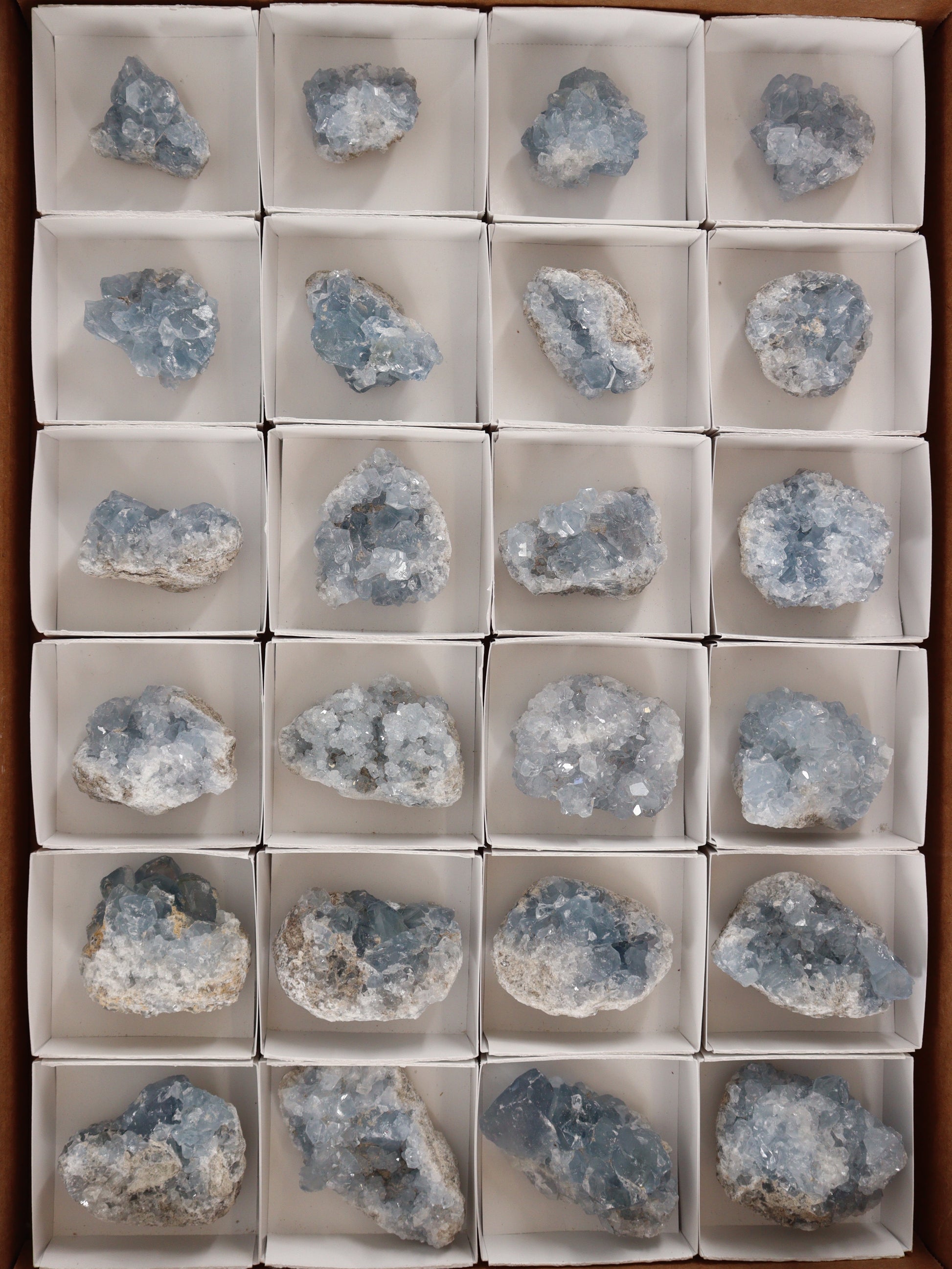 Celestite Clusters Set of 24 - Expert Wholesale and Supplier of Wholesale Crystals & Bulk Gemstones, []