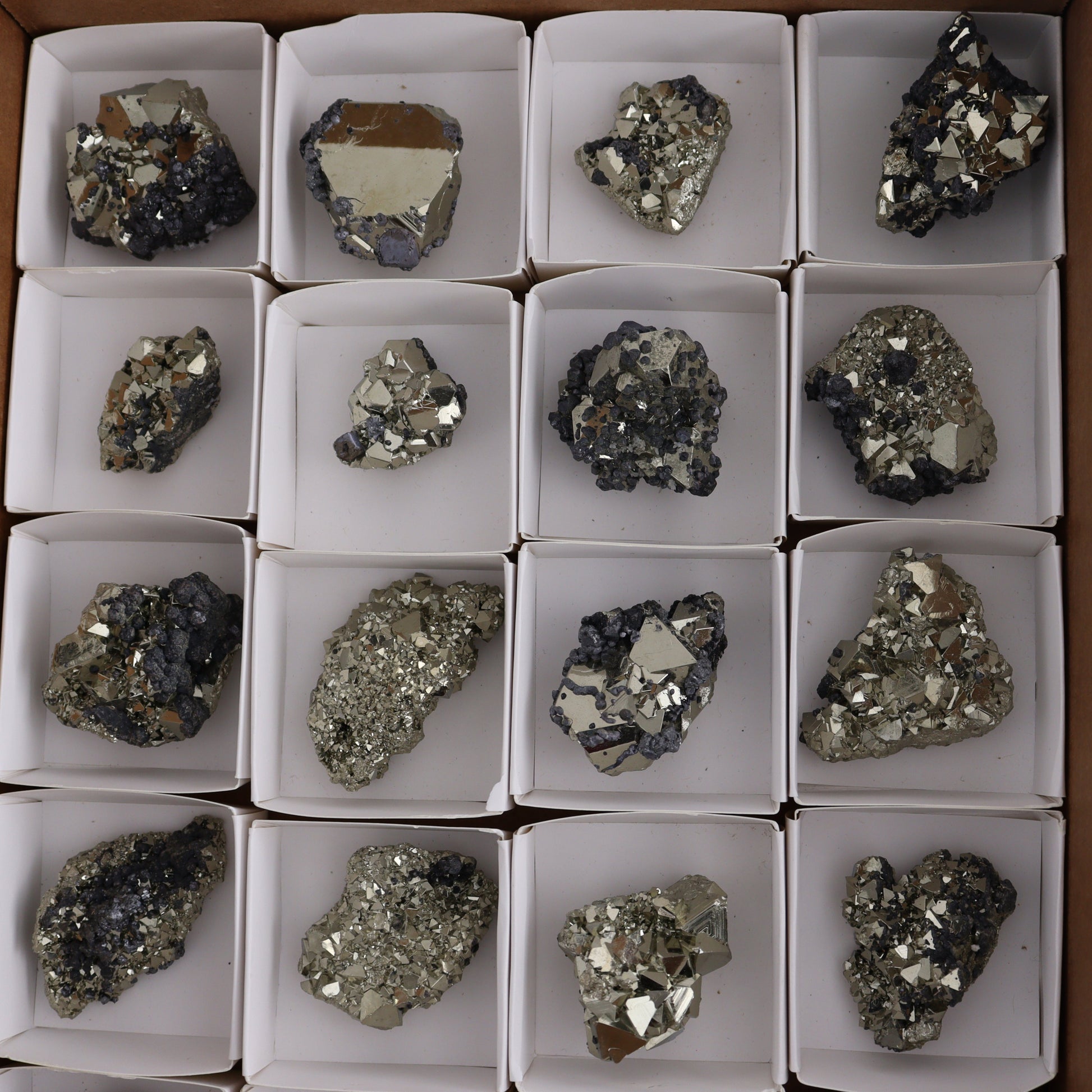 Octahedral Pyrite Clusters Set of 20 - Expert Wholesale and Supplier of Wholesale Crystals & Bulk Gemstones, ["Clusters","Octahedral Pyrite","Peru","Pyrite"]