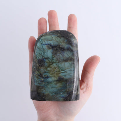 Labradorite Freeform Set of 7