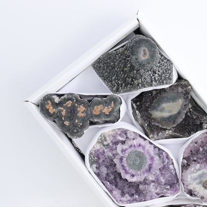 Uruguay Amethyst Clusters with "Eyes" Flat of 7 - Expert Wholesale and Supplier of Wholesale Crystals & Bulk Gemstones, ["Amethyst","Amethyst Eyes","Clusters","Uruguay"]