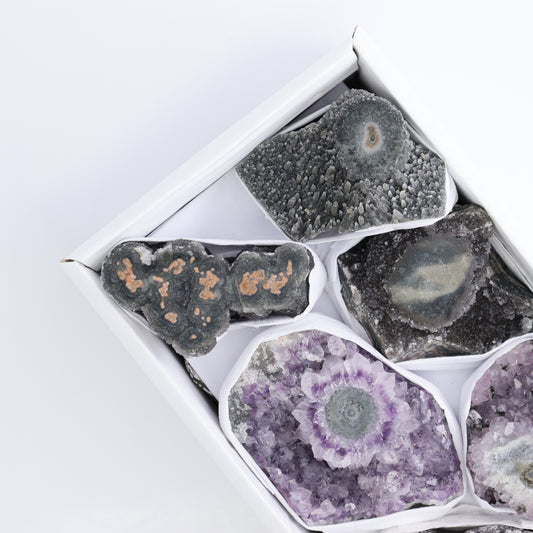 Uruguay Amethyst Clusters with "Eyes" Flat of 7 - Expert Wholesale and Supplier of Wholesale Crystals & Bulk Gemstones, ["Amethyst","Amethyst Eyes","Clusters","Uruguay"]