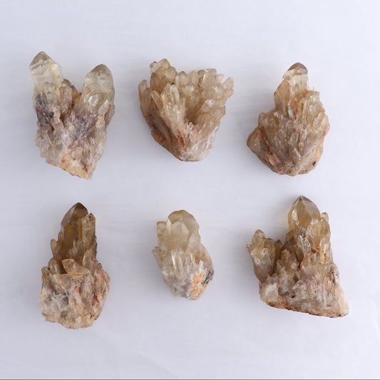Congo Citrine Set of 6 - wholesale crystals