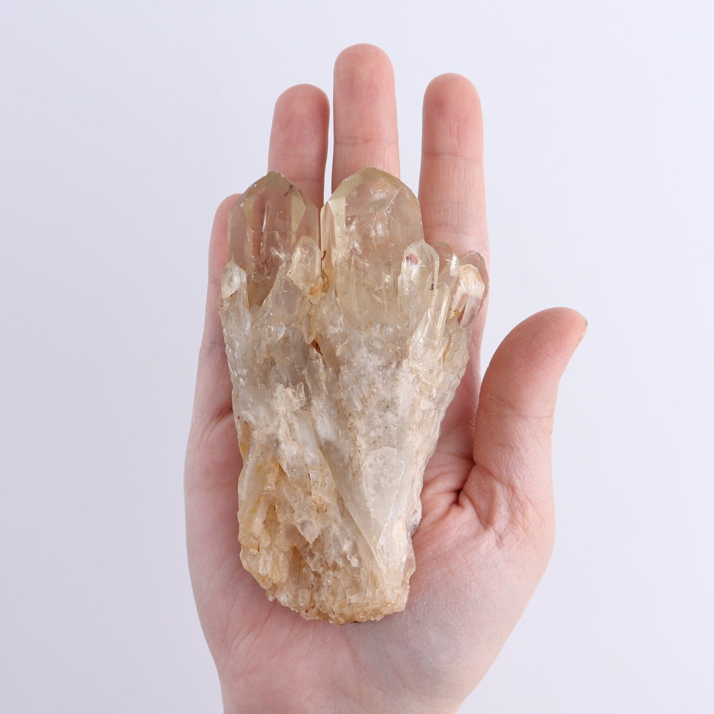 Congo Citrine Set of 12