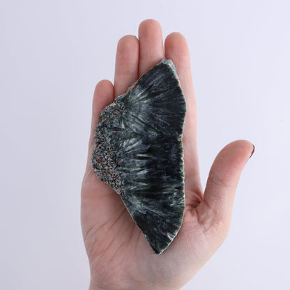 Seraphinite Slices Set of 12 - Expert Wholesale and Supplier of Wholesale Crystals & Bulk Gemstones, ["Seraphinite","Slices and Slabs"]