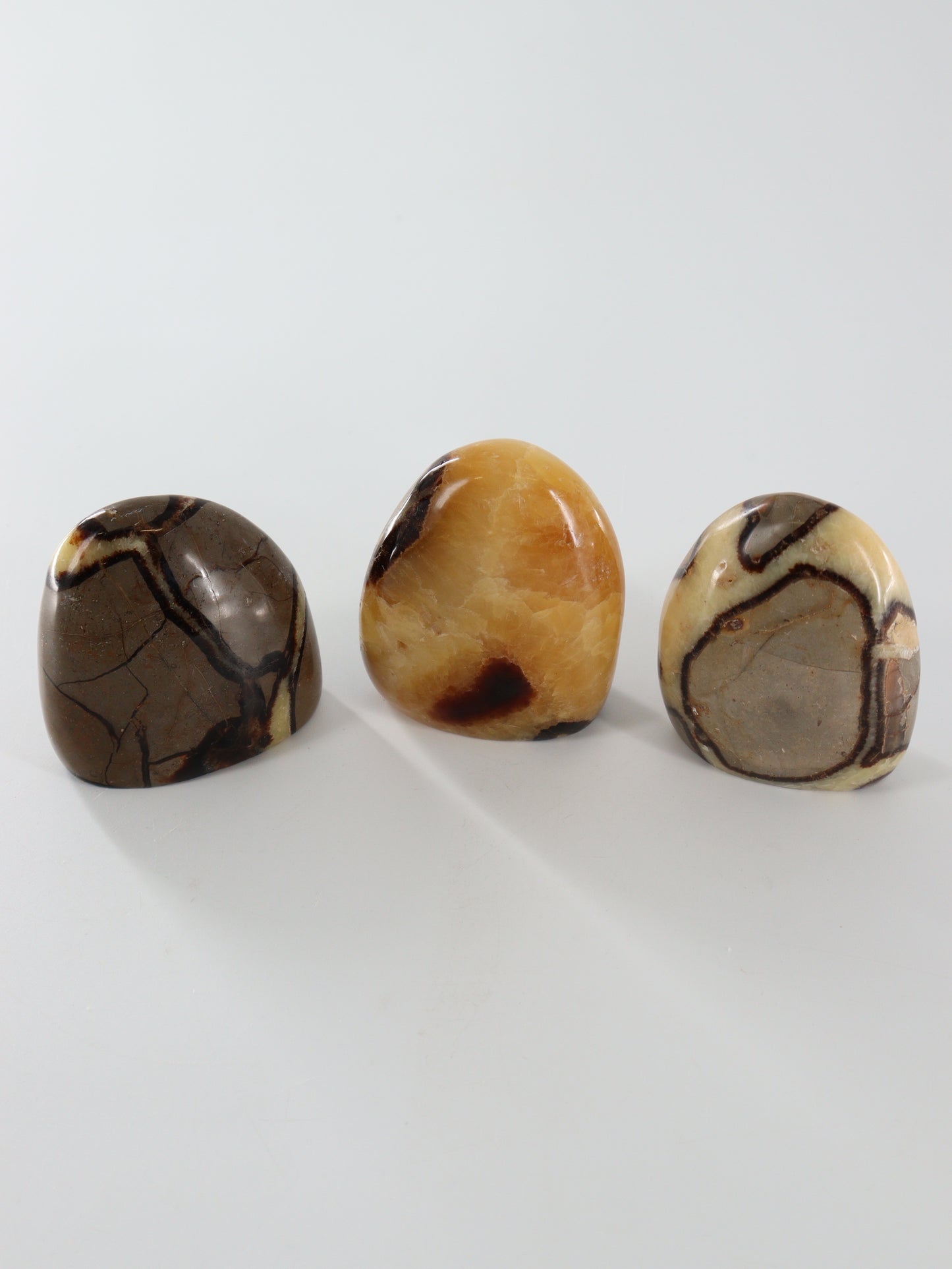 Sepatarian Freeforms Set of 12 - Expert Wholesale and Supplier of Wholesale Crystals & Bulk Gemstones, []