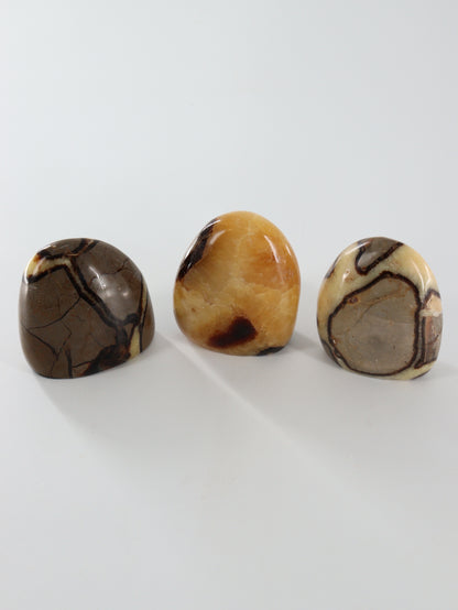 Sepatarian Freeforms Set of 12 - Expert Wholesale and Supplier of Wholesale Crystals & Bulk Gemstones, []