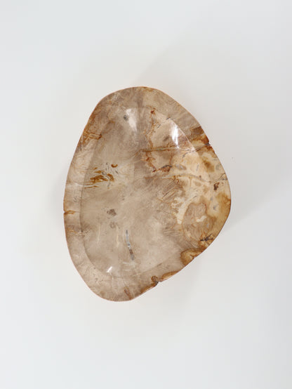 Petrified Wood Bowl - Expert Wholesale and Supplier of Wholesale Crystals & Bulk Gemstones, []