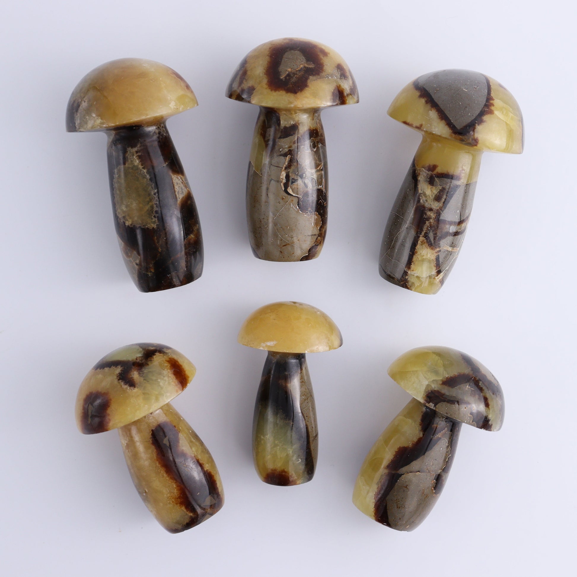 Septarian Mushrooms Set of 6 - Expert Wholesale and Supplier of Wholesale Crystals & Bulk Gemstones, ["Mushrooms","Septarian"]