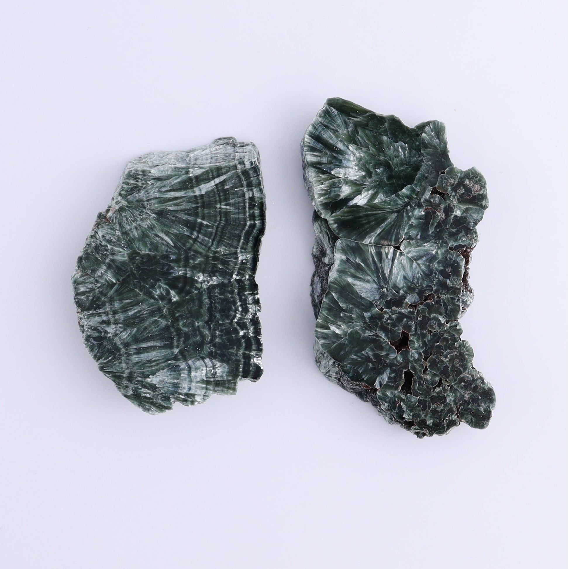 Seraphinite Slices Set of 6 - Expert Wholesale and Supplier of Wholesale Crystals & Bulk Gemstones, ["Russia","Seraphinite","Slices and Slabs"]