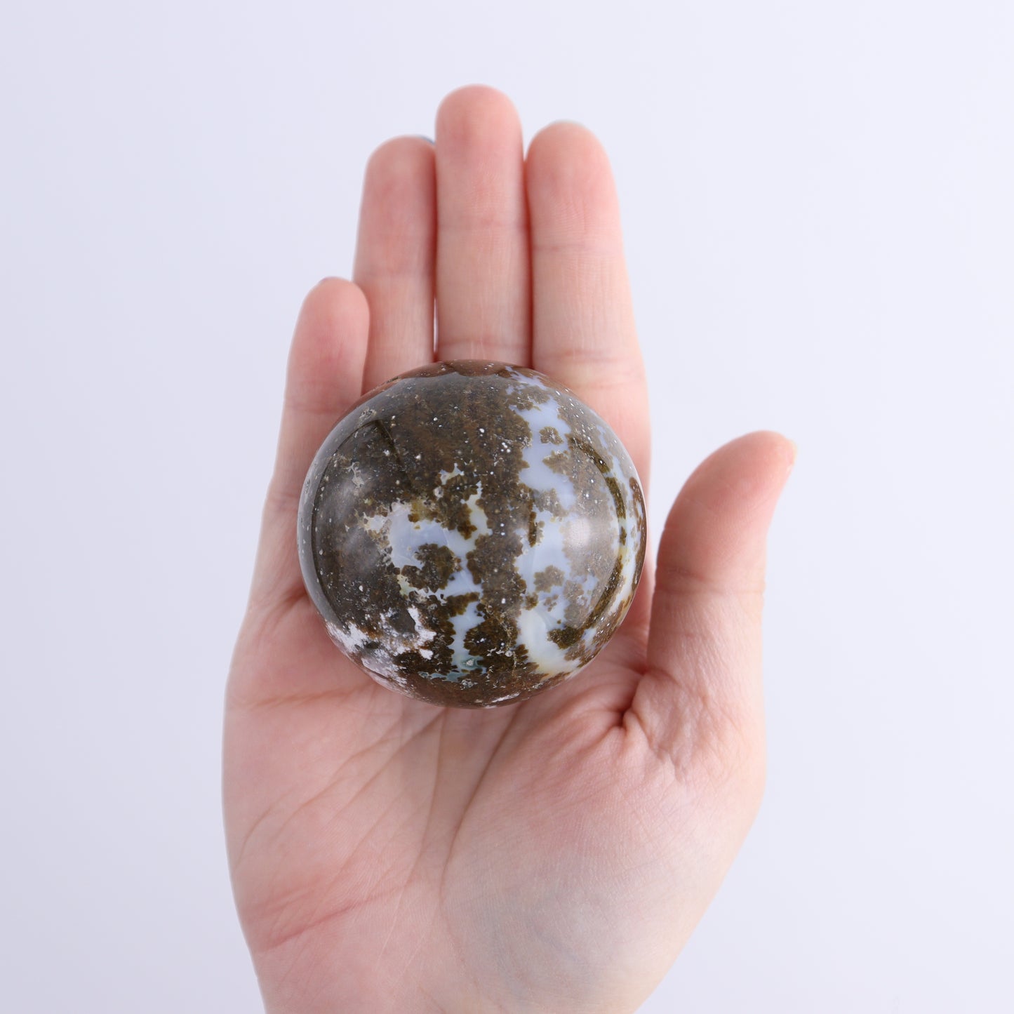Ocean Jasper Spheres Set of 12
