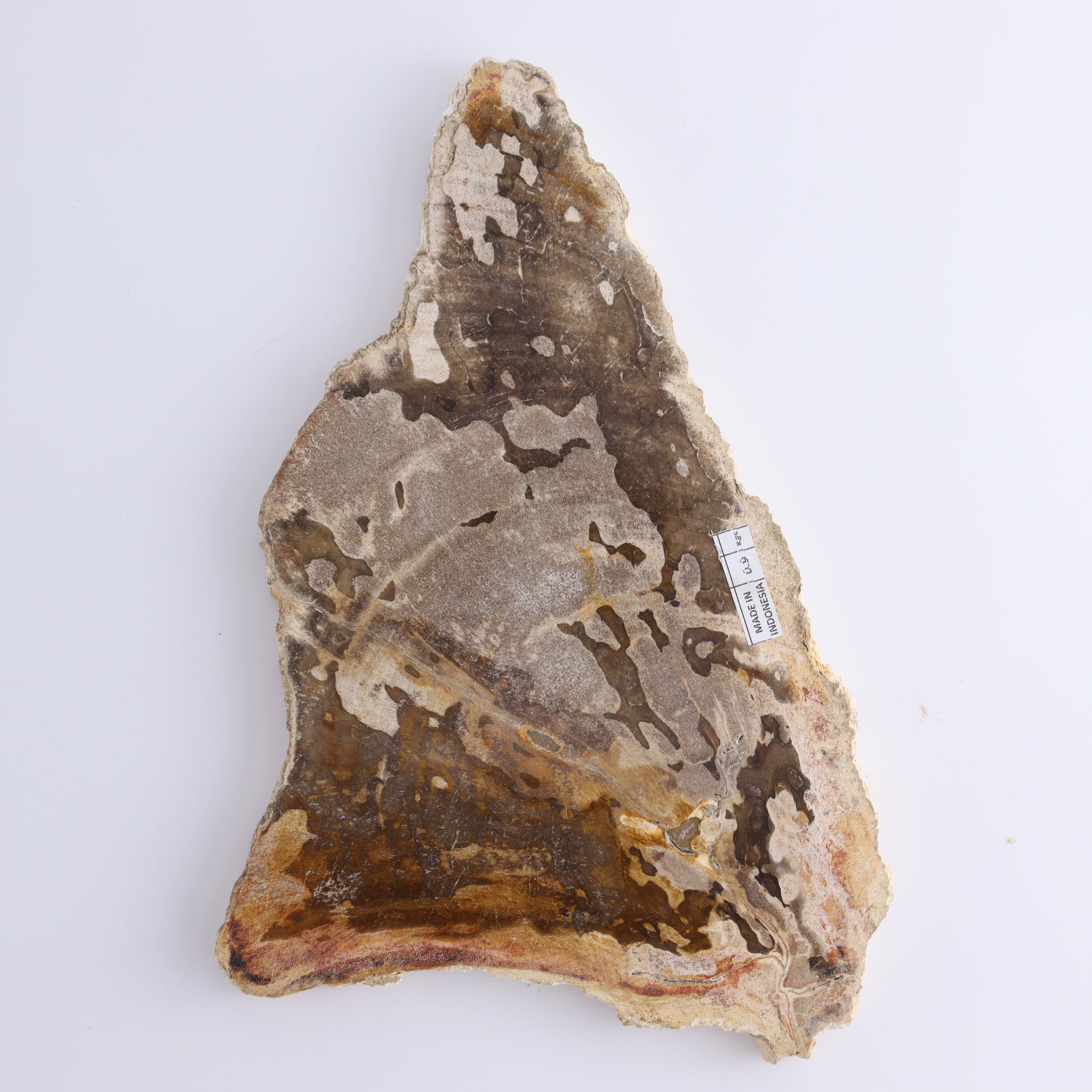 Petrified Wood Slices & Slabs Set of 3 - Expert Wholesale and Supplier of Wholesale Crystals & Bulk Gemstones, ["Freeforms","Indonesia","Petrified Wood","Slices and Slabs"]