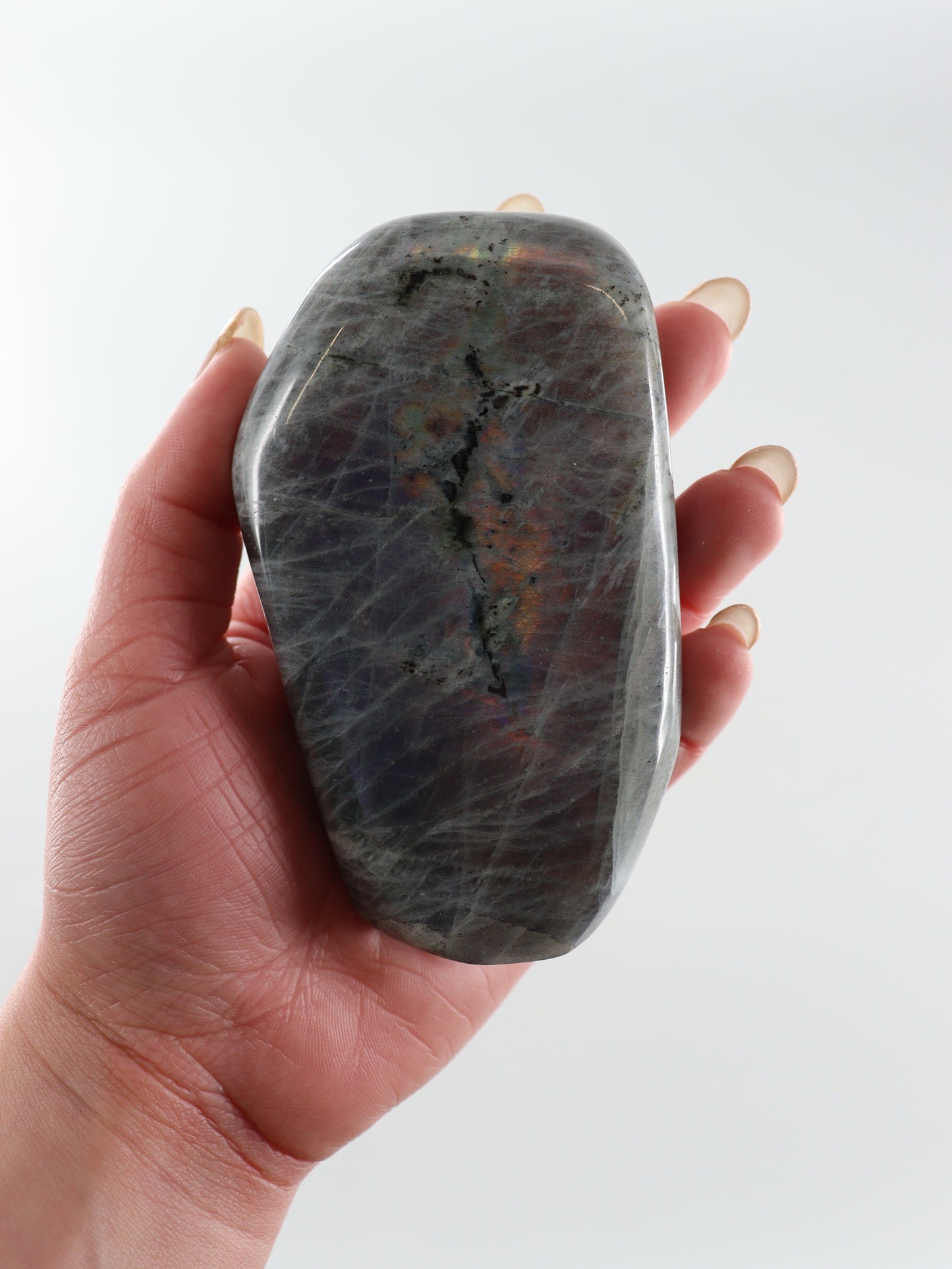 Labradorite Freeforms Set of 6 - Expert Wholesale and Supplier of Wholesale Crystals & Bulk Gemstones, []