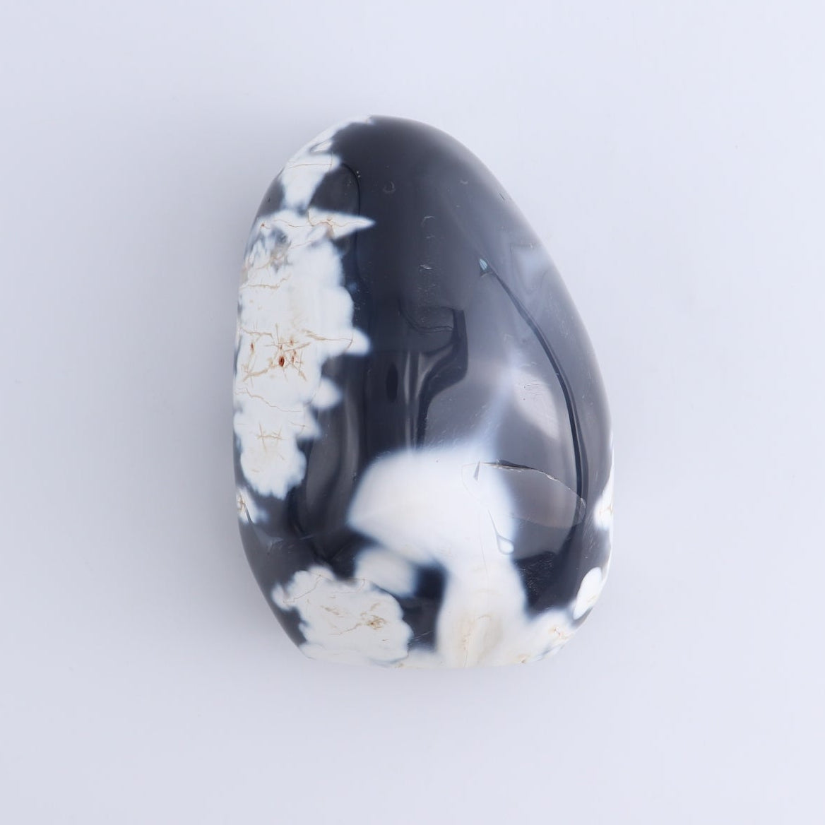 Orca Agate Freeform Set of 4