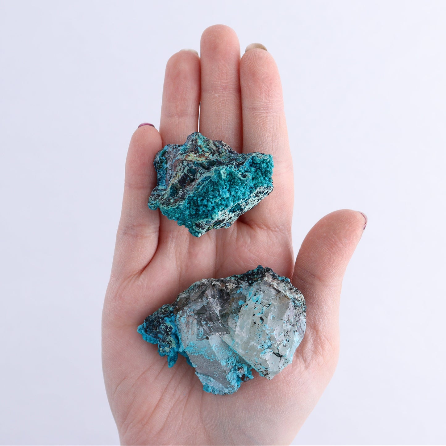 Chrysocolla on Quartz Roughs Set of 35